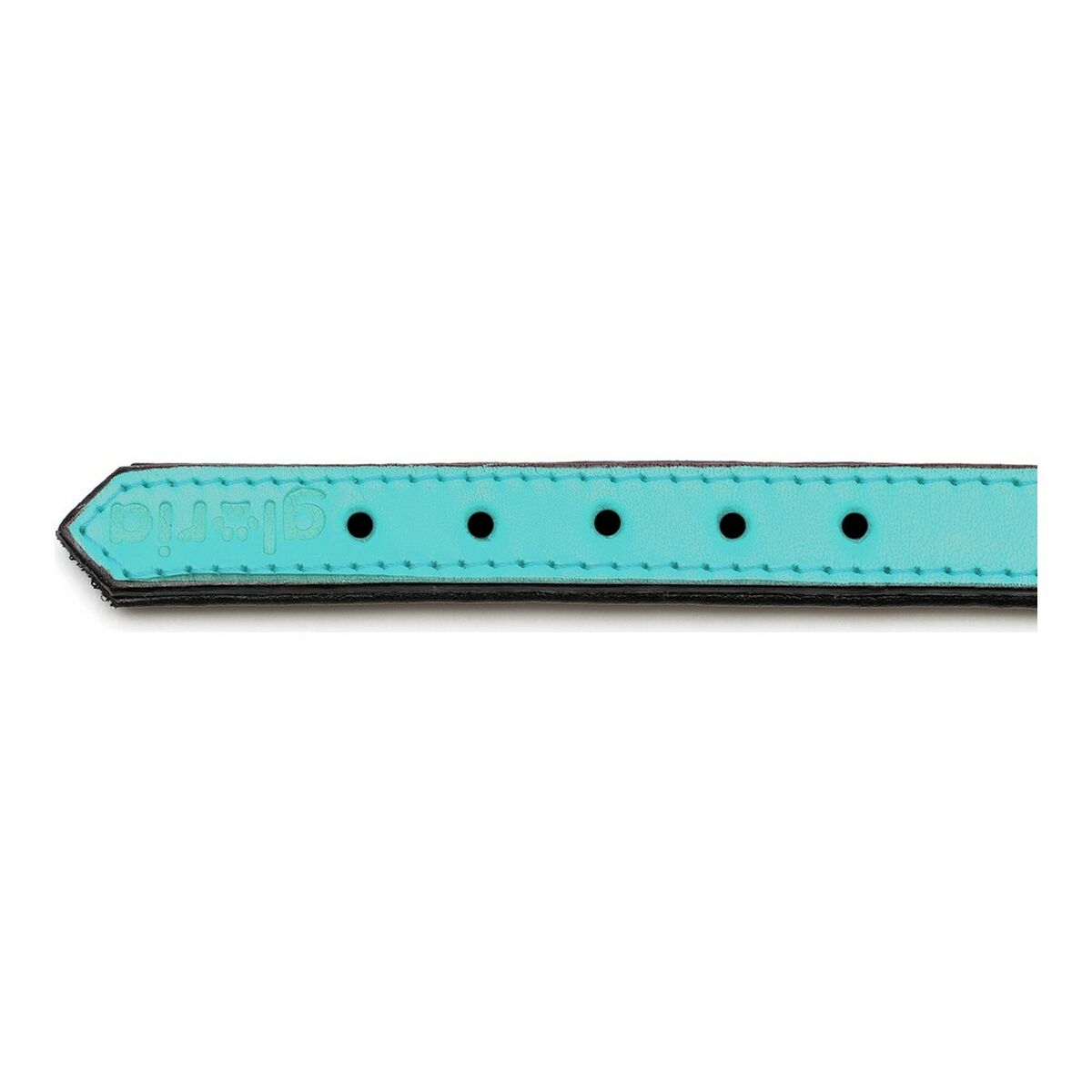 Collar para Perro Gloria Acolchado Turquoise 40 cm (40 x 2 cm)